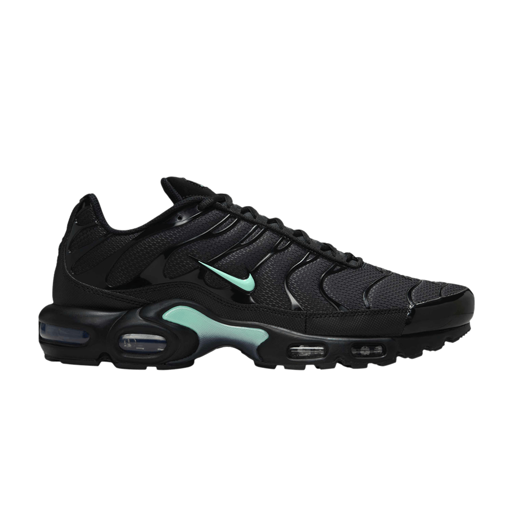 Nike Air Max Plus Black Mint Green