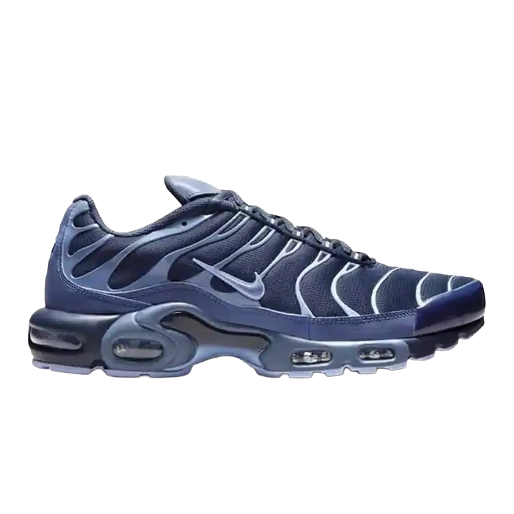 Nike Air Max Plus Obsidian Aluminum