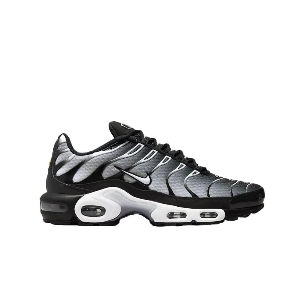 Nike Air Max Plus Black Silver White (Damaged OG Box/Replacement Box branded)