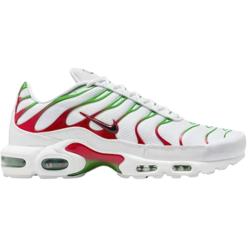 Nike Air Max Plus Italy