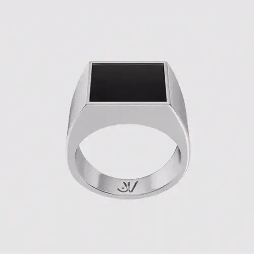 Seal Ring - Silber - Rings - S - 58mm - JVillion®
