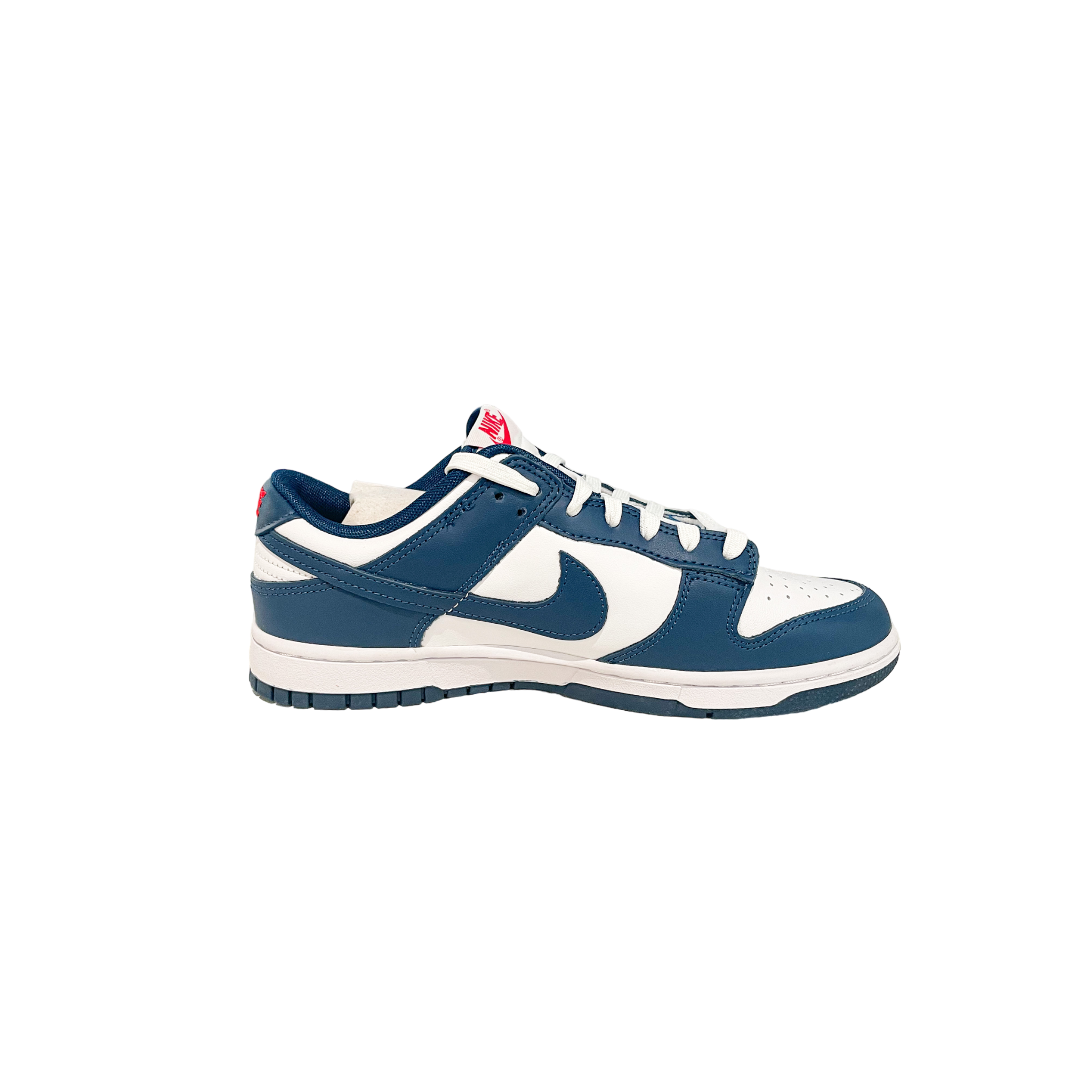 Nike Dunk Low Valerian Blue